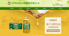漢川山村*榨油脂有限公司網(wǎng)站建設有創(chuàng)意的主題設計