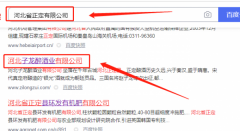 河北*龍醉酒業(yè)有限公司網(wǎng)站建設展示型案例作品