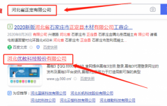 河北*教科技股份有限公司網(wǎng)站建設H5案例作品