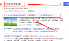 河北*爾特體育用品有限公司網(wǎng)站建設有創(chuàng)意的主題設計