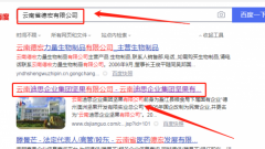 云南*思企業(yè)集團堅果有限公司網站建設基本流程
