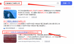 云南怒江州東*大峽谷生物城有限責任公司網站建設新一代自助建站、智能建站系統