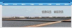 山東昌邑*戶鹽化有限公司網(wǎng)站建設H5案例作品