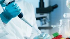 圣*（張家口）藥業(yè)有限公司網站建設優(yōu)秀設計作品