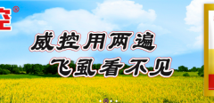 山西運(yùn)城綠*實(shí)業(yè)有限公司網(wǎng)站建設(shè)有創(chuàng)意的主題設(shè)計