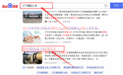 朝陽重*冶金工業(yè)有限公司網站建設案例欣賞