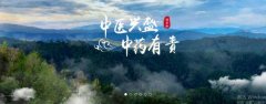 普洱淞*醫(yī)藥集團有限公司網(wǎng)站建設新一代自助建站、智能建站系統(tǒng)