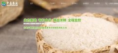 豐城市中*農(nóng)業(yè)發(fā)展有限公司網(wǎng)站建設(shè)新一代自助建站、智能建站系統(tǒng)